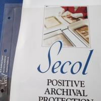 Standard A-S 1 Pocket Pages PK 50